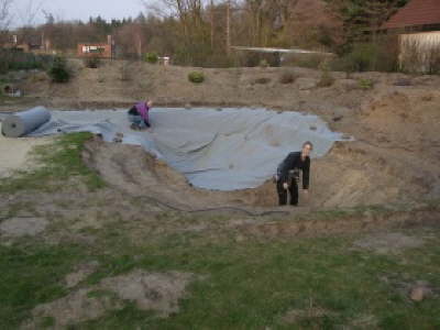 Bild Schwimmteich Arbeiten