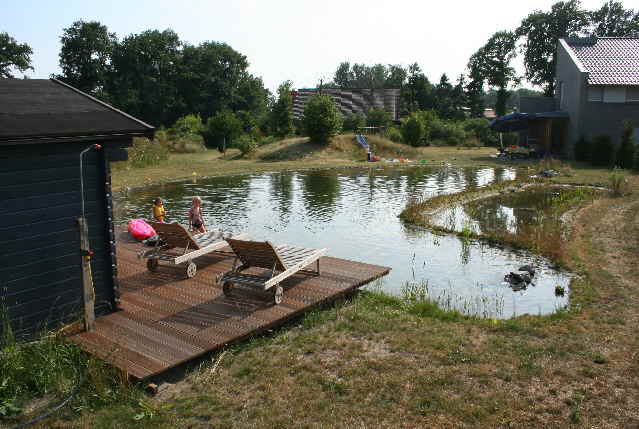 Bild Schwimmteich Schwimmteich Planung