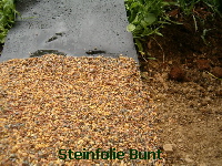Steinfolie-bunt