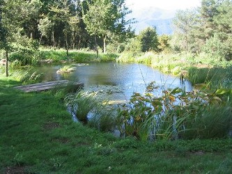Schwimmteichfolie Schwimmteich Folie Schwimmteich