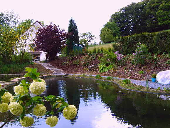 Schwimmteich anlegen gestalten im Garten