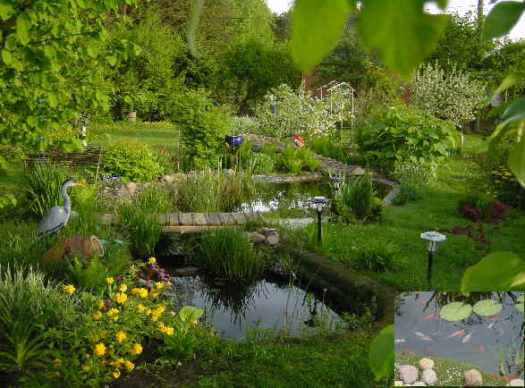 Schwimmteich Biotop im Garten