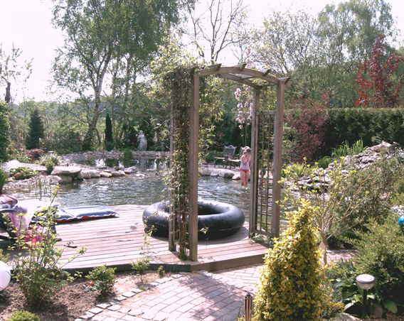 schwimmteich selbst bauen
