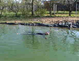 Schwimmteich Bild Schwimmteich Bilder