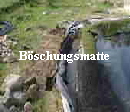 B�schungsmatte Schwimmteich