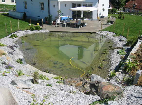 schwimmteich Material Produkte  selbst anlegen